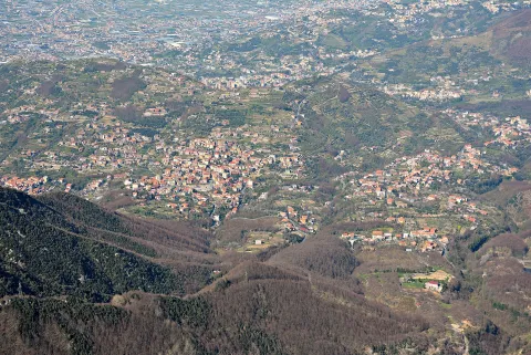 Pimonte