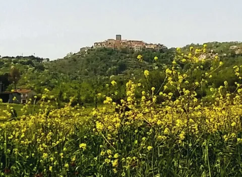 Casalbore