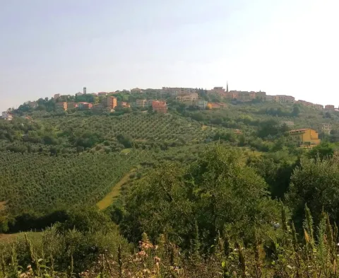 Flumeri
