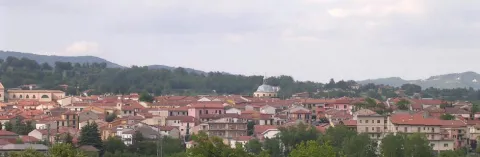 Lioni