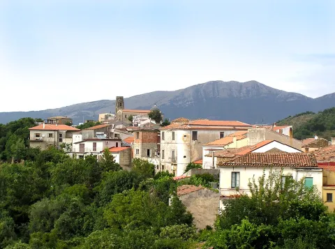 Perito