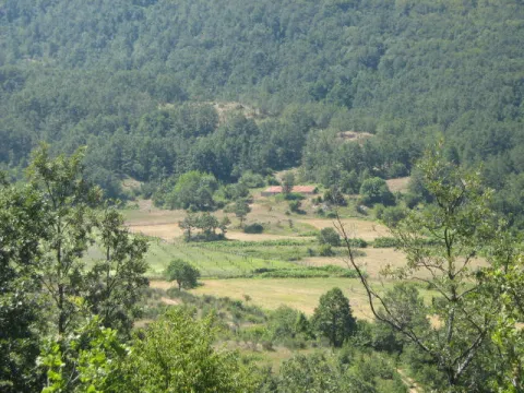 Fête de saint Barbat