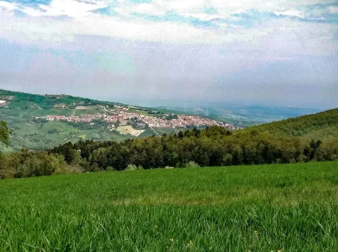 Festa di San Giovanni Battista
