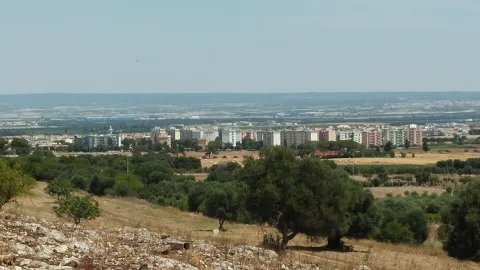 Distant view of Grottaglie surrounded by olive groves in the Apulian countryside, Italy