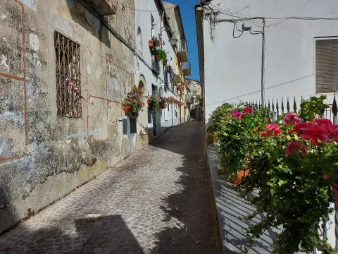 Festa di Sant'Andrea Avellino