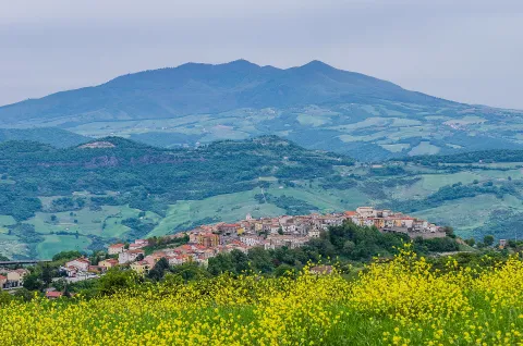 San Vito martire, patrono venerato accanto alla chiesa madre di San Nicola