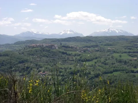 Teana