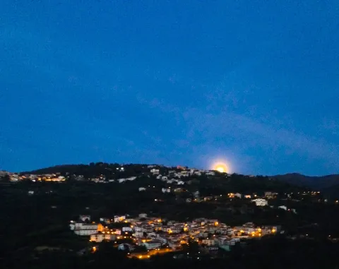 Aprigliano