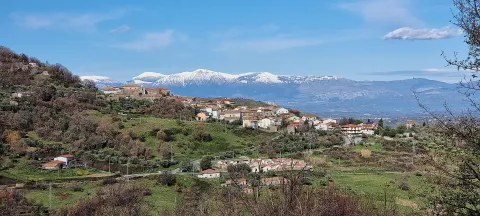 Cerzeto