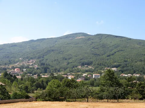 Decollatura