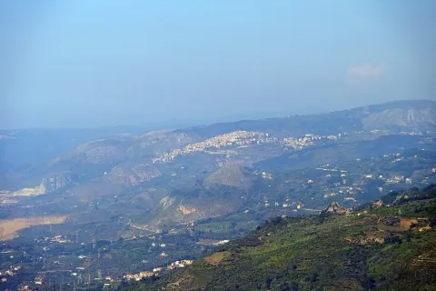 Militello Rosmarino