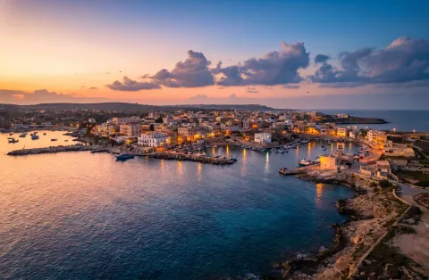 Feast of Mary Most Holy of Porto Salvo