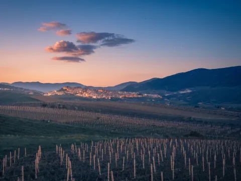 Sambuca di Sicilia