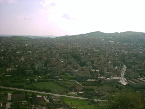 Riesi