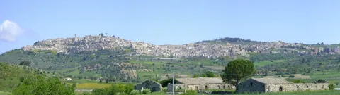 Vizzini