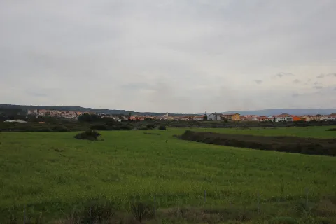 Olmedo