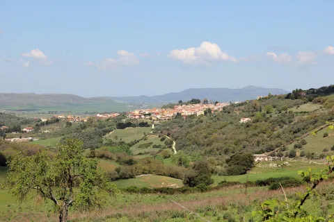 Siligo
