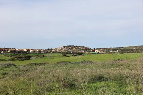 Tergu
