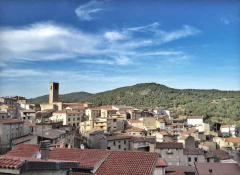 Festa di San Gavino