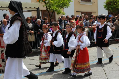 Ollolai