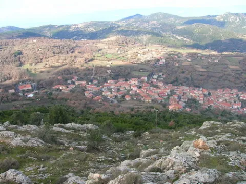 Teti