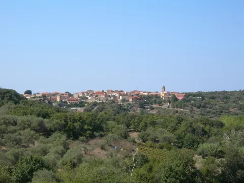 Sennariolo