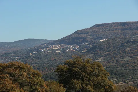 Sorradile