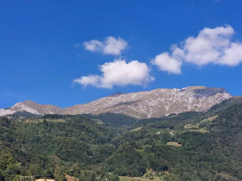 Pasturo