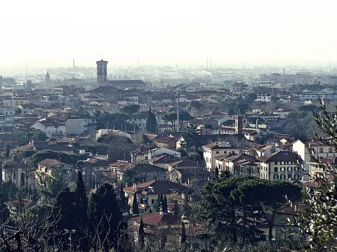 Prato