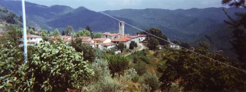 Vernio