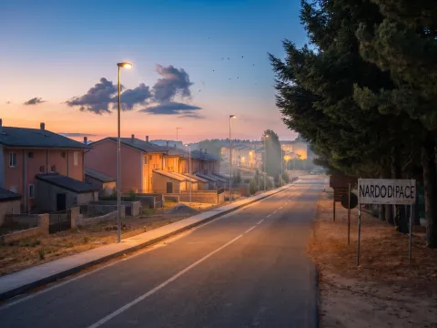 Nardodipace