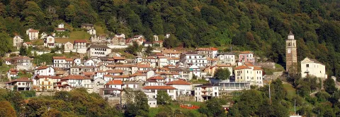 Loreglia