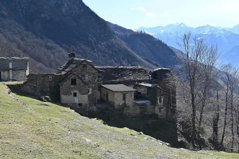Trontano