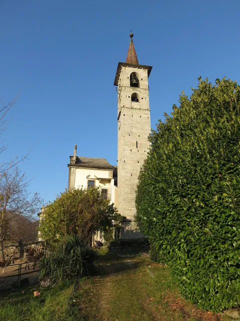 Vignone