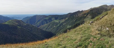 Muggiò