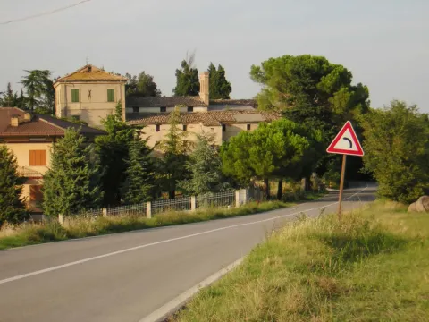 Festa di San Rocco