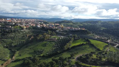 Escalaplano