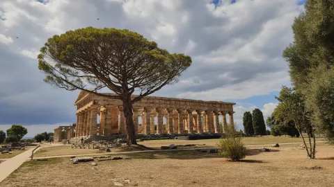 Well-preserved Doric Greek temple at Templi di Paestum in Italy with a pine tree.