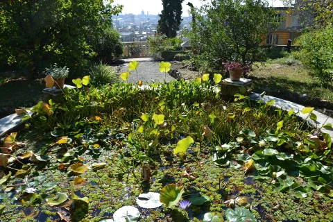 Orto botanico dell'Università di Genova — Genova