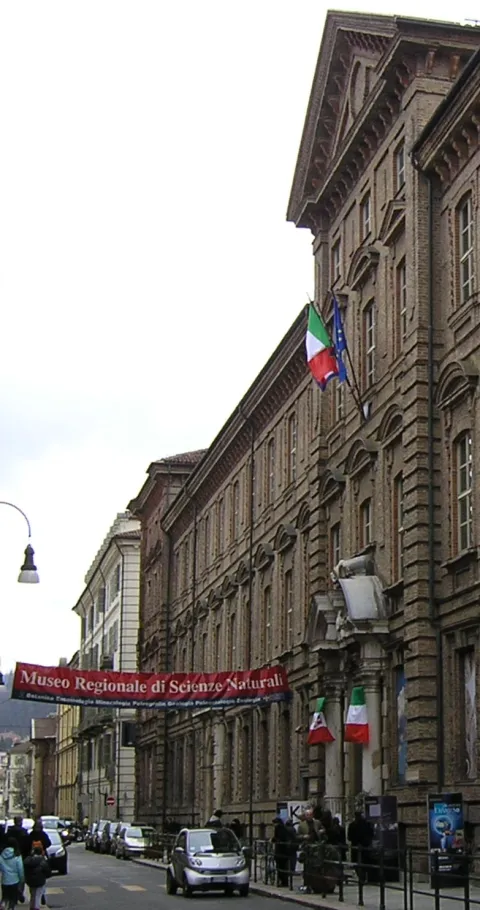 Museo regionale di scienze naturali — Torino