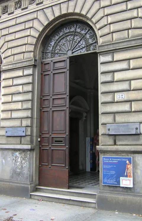 Museo di anatomia umana Luigi Rolando — Torino