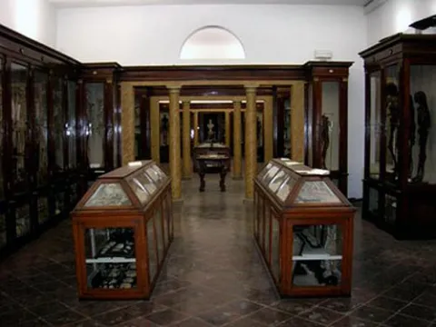 Museo di anatomia di Modena — Modena