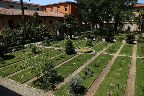 Orto e Museo Botanico di Pisa — Pisa