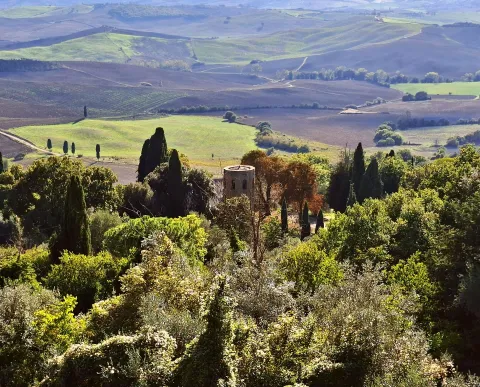 pieve dei Santi Vito e Modesto — Pienza