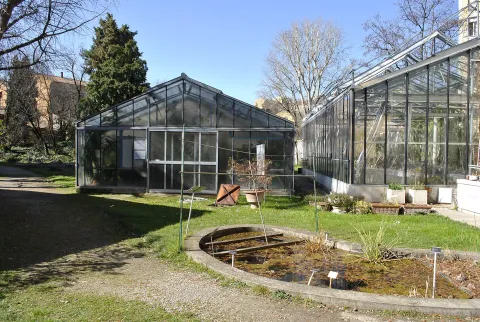 orto botanico di Bologna — Bologna
