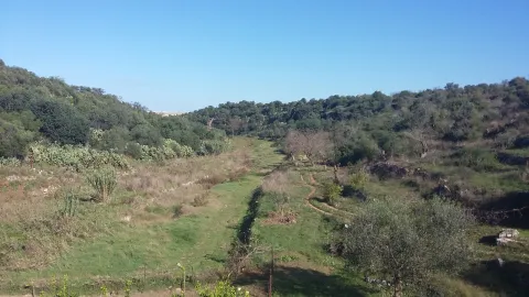 parco naturale regionale Lama Balice — Bari
