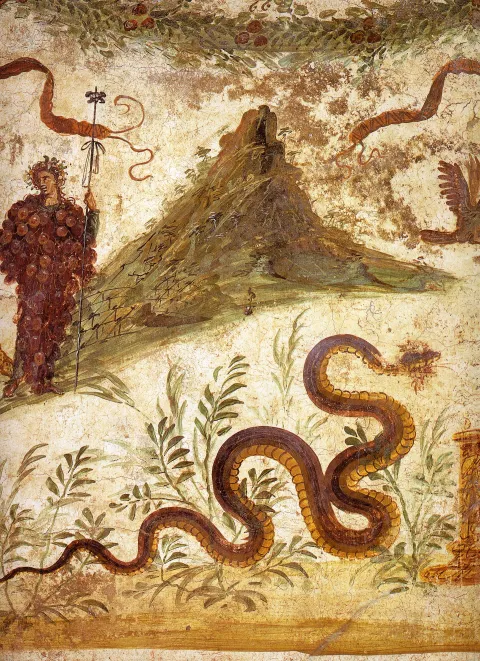 casa del Centenario (IX.8.6) — Pompei