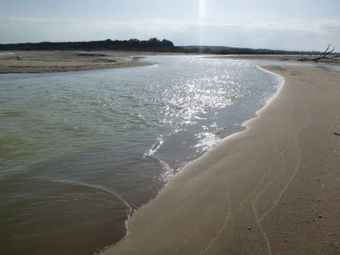 riserva naturale Oasi del Simeto — Catania