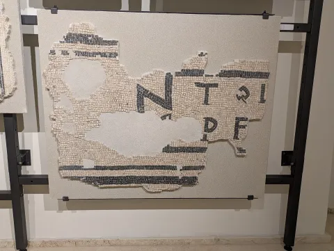 Museo archeologico nazionale delle Marche — Ancona