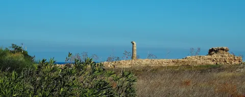 Museo e Parco archeologico nazionale di Capo Colonna — Crotone